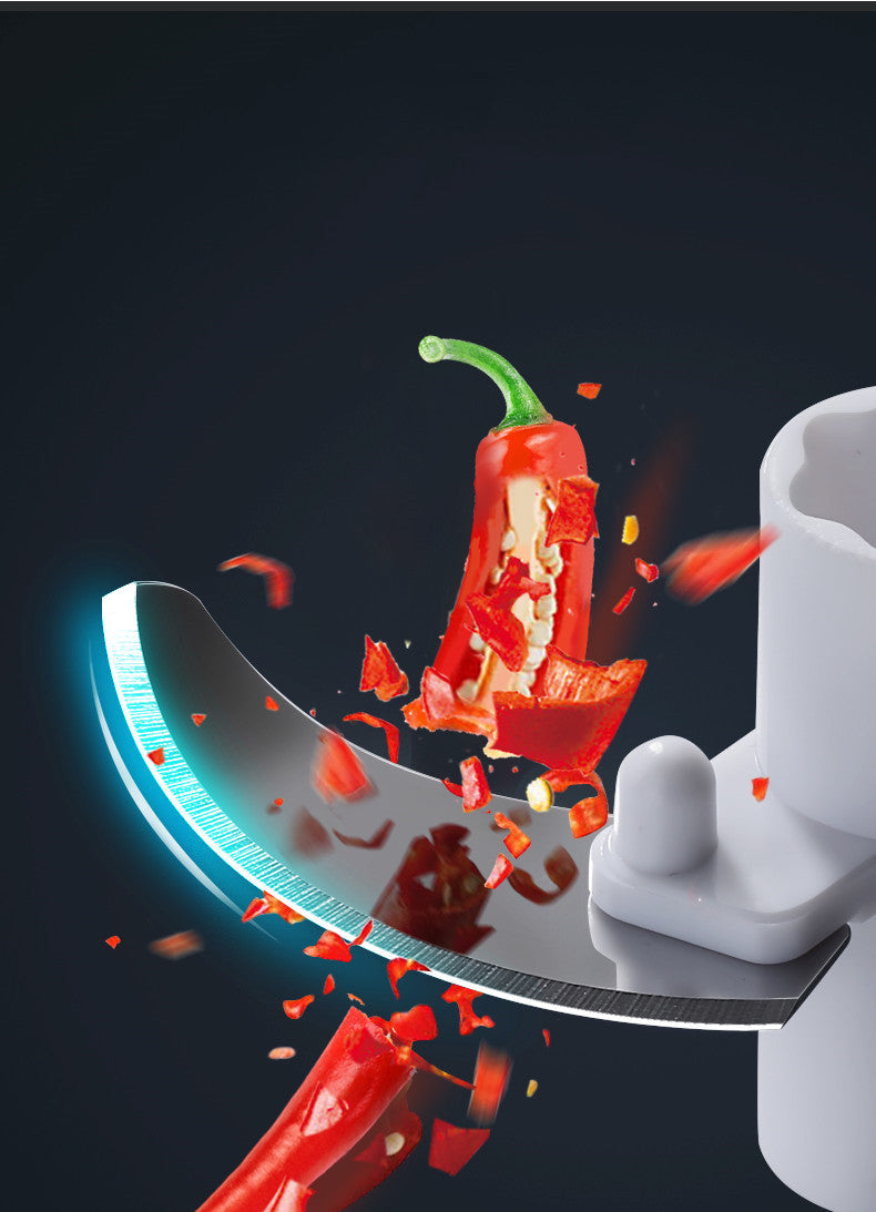 Mélangeur maison gingembre et ail