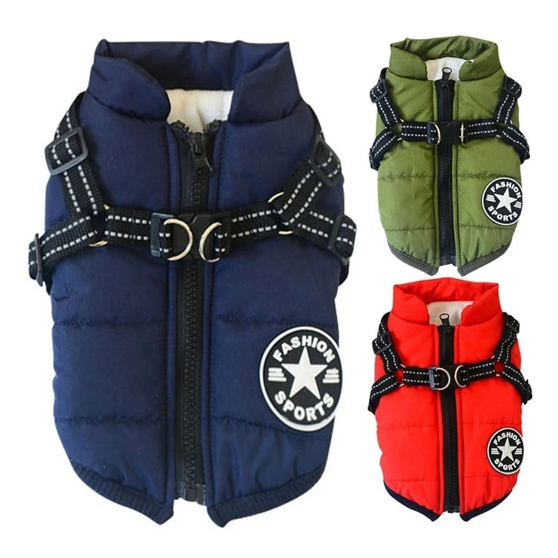 Vêtements d'hiver pour chiens et petits chiens, manteau chaud à capuche, vestes pour Chihuahua, carlin, vêtements pour chiots et chats