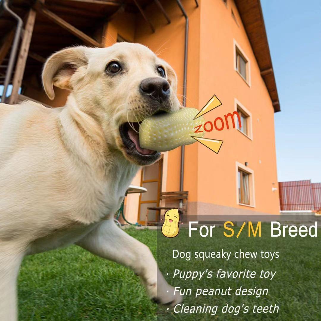 Jouets grinçants amusants pour chiens de compagnie, pour petits chiens moyens, résistant aux morsures, chiot, chat, jouets pour animaux de compagnie, en caoutchouc, cacahuètes, jouet à mâcher pour dents propres