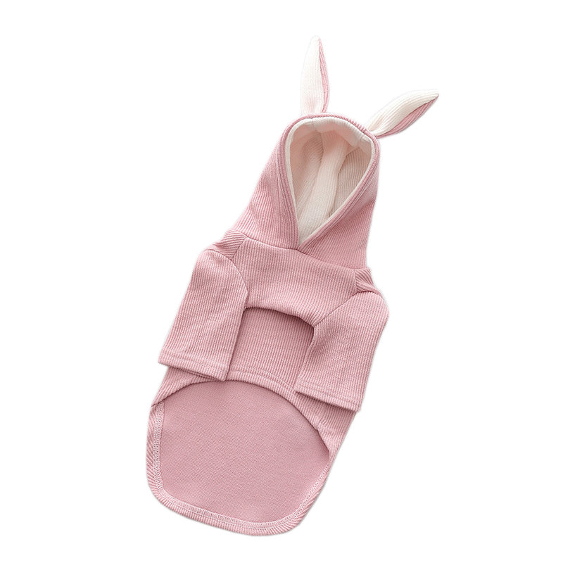 Vêtements pour animaux de compagnie pour chiens, vêtements de printemps et d'automne