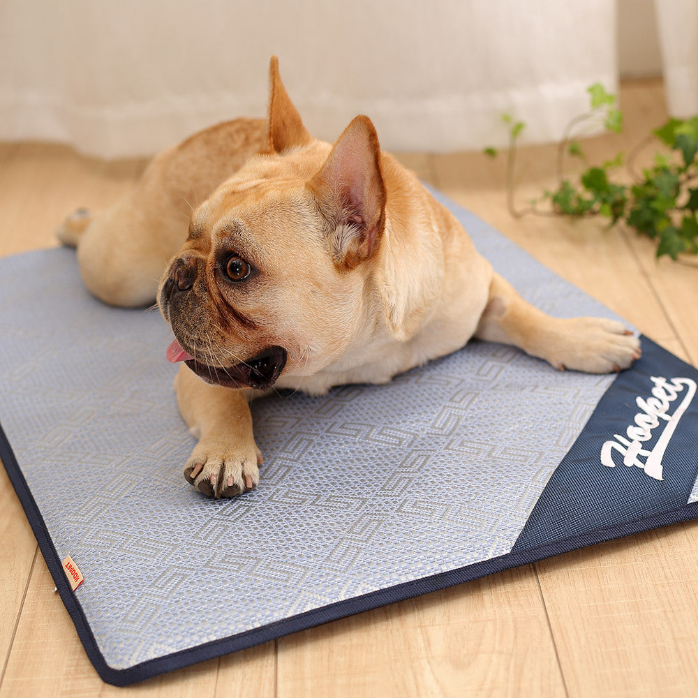 Tapis de refroidissement pour chien tapis d'été pour chiens chat couverture respirante coussins de glace pour chat lavable canapé respirant lit pour chien tapis pour animaux de compagnie