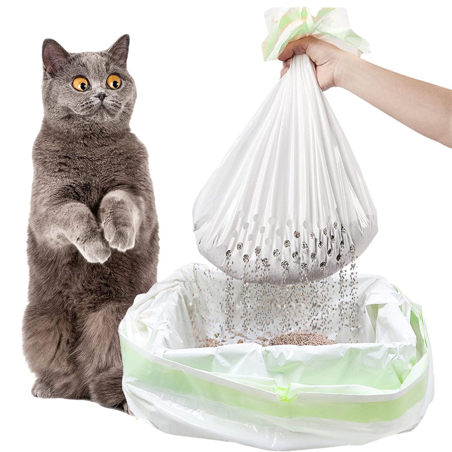 Sac à excréments de chat, produits de nettoyage pour animaux de compagnie
