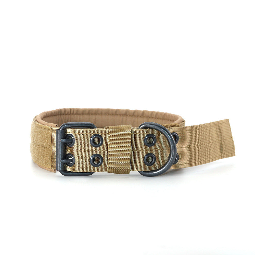 Collier de chien de livre d'auteur collier de chien de taille moyenne et grande