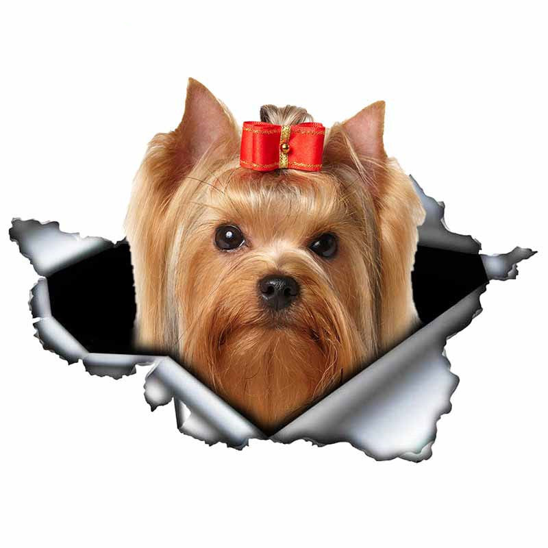 Aliauto 3D Pet Dog Vinyl Sticker Ripped Metal Animal Car Sticker Window Bumper 13x13cm