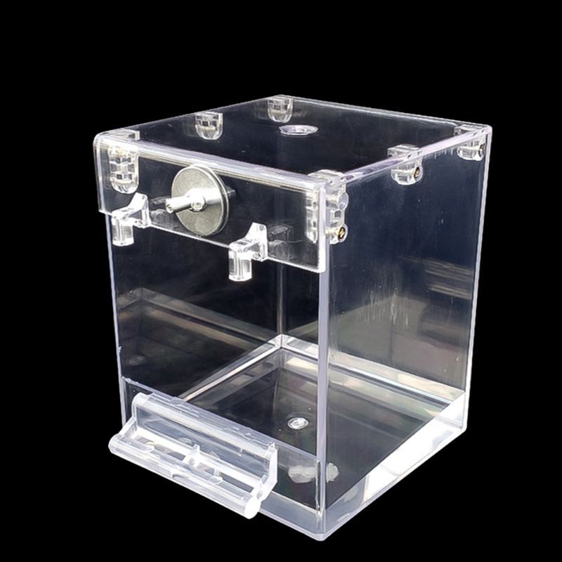 Bain d'oiseaux externe, bain Transparent, bassin carré, fournitures pour oiseaux, fournitures pour animaux de compagnie