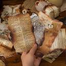 Série de fragments brûlés de papier de matériau brûlé anormal rétro de poème de sucre