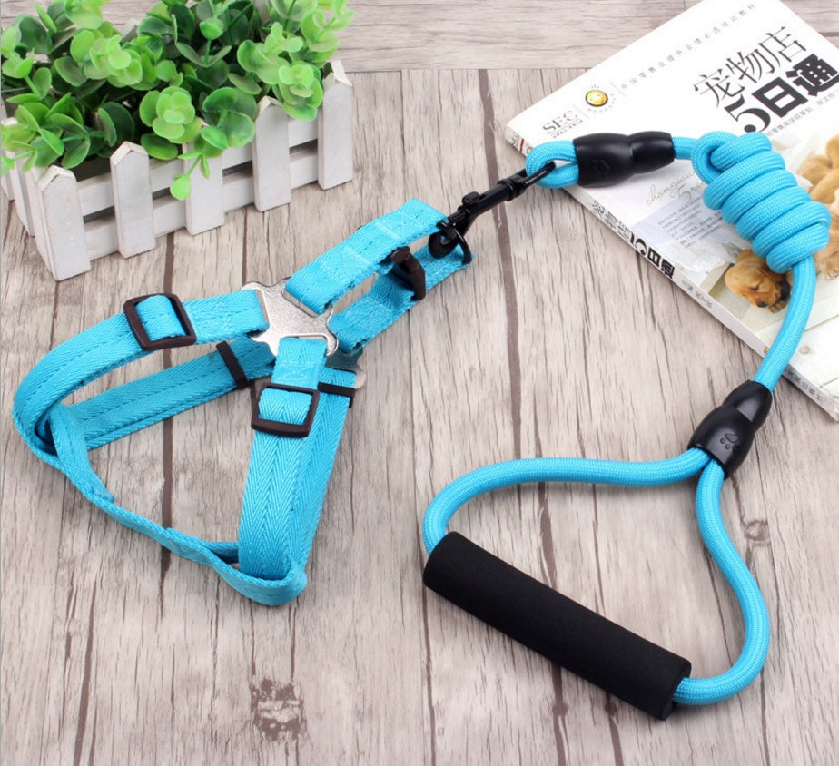 chaîne pour chien, collier pour chien, corde de harnais pour animaux de compagnie