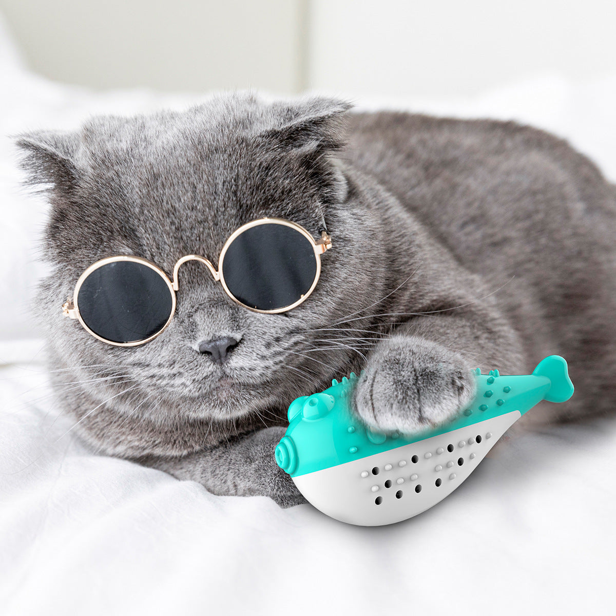 Juguete de cepillo de dientes de gato con pez de simulación de menta