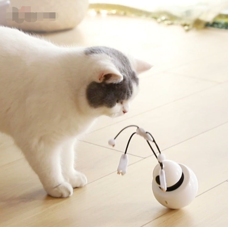 Jouet pour chat jouet drôle pour chat trois en un robot gobelet laser jouet pour chat