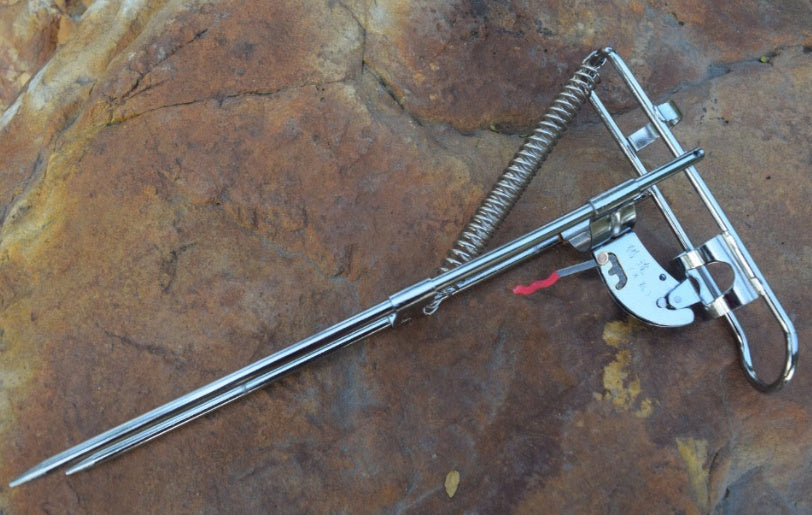 Maestro detector de peces