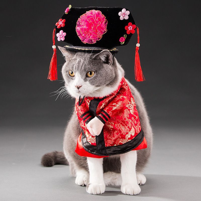Disfraz de gato mascota primavera y otoño.