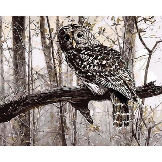 Owl Digital Painting Living Room Decoration