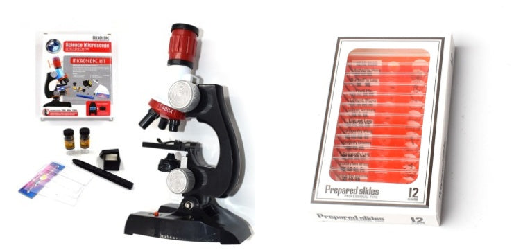 Microscope des sciences biologiques et de l'éducation des enfants