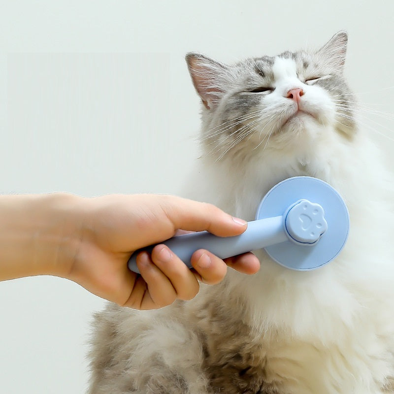 Peigne flottant pour chat, épilation pour chien, nettoyage des poils longs, fournitures spéciales pour animaux de compagnie