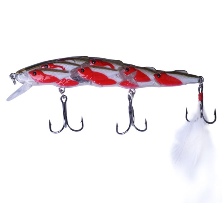 Appât à poisson pour siniperca chuatsi