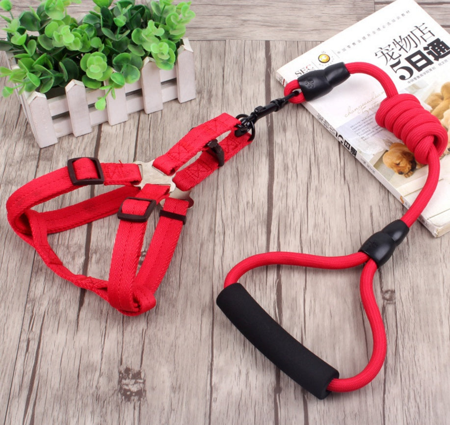 chaîne pour chien, collier pour chien, corde de harnais pour animaux de compagnie