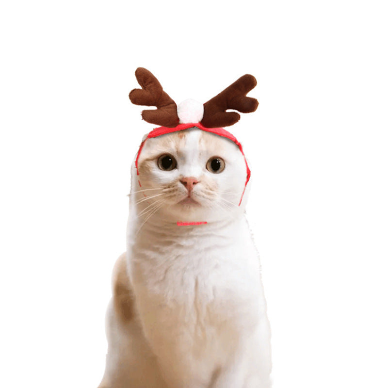 Costume mignon de chat de chien, cape de noël, déguisement d'halloween, chat