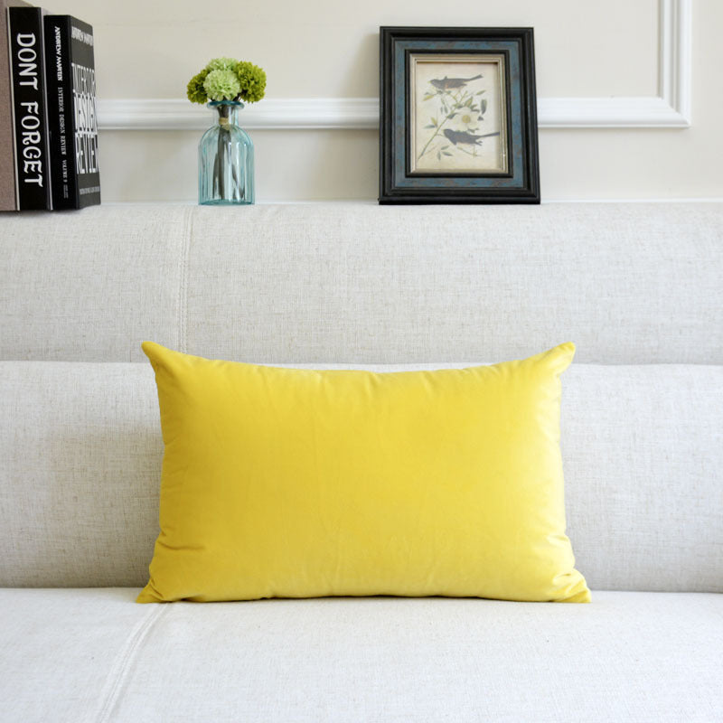 Coussin décoratif en velours pour canapé