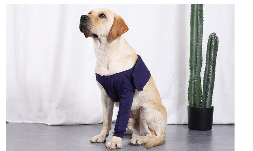 Nouveau Manchon Anti-léchage pour la récupération postopératoire des pattes de chien