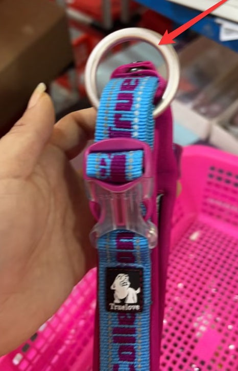 Harnais de collier pour chien, dressage pour grands chiens