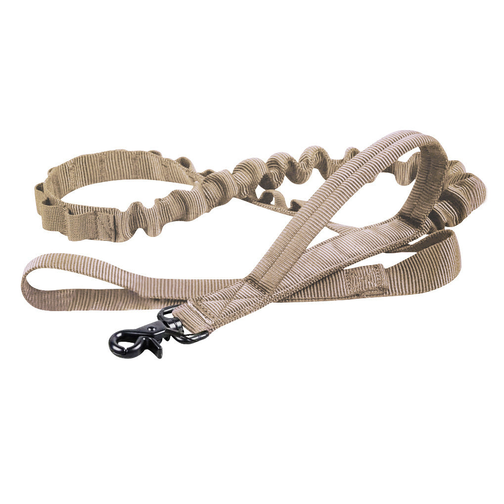 Ensemble collier et laisse tactiques pour chien, collier militaire réglable en Nylon pour chien
