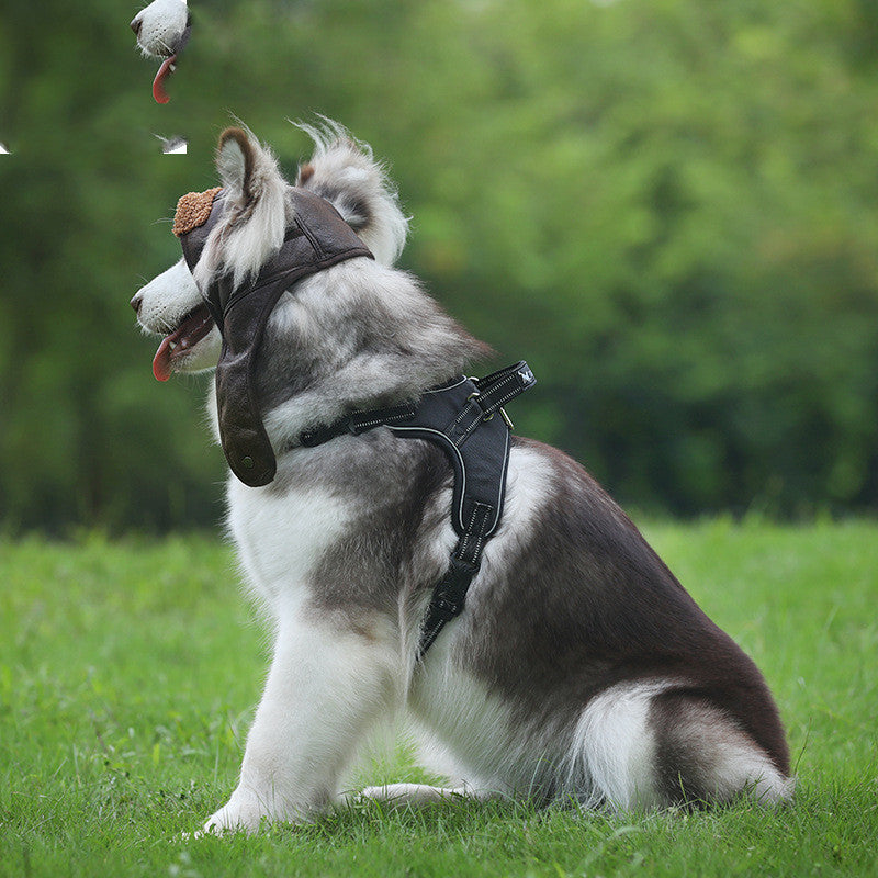 Fournitures pour animaux de compagnie automne hiver nouveau chien de compagnie