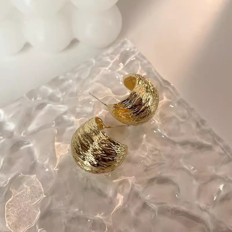 Sterling Silver Needle Niche Design Earrings For Women