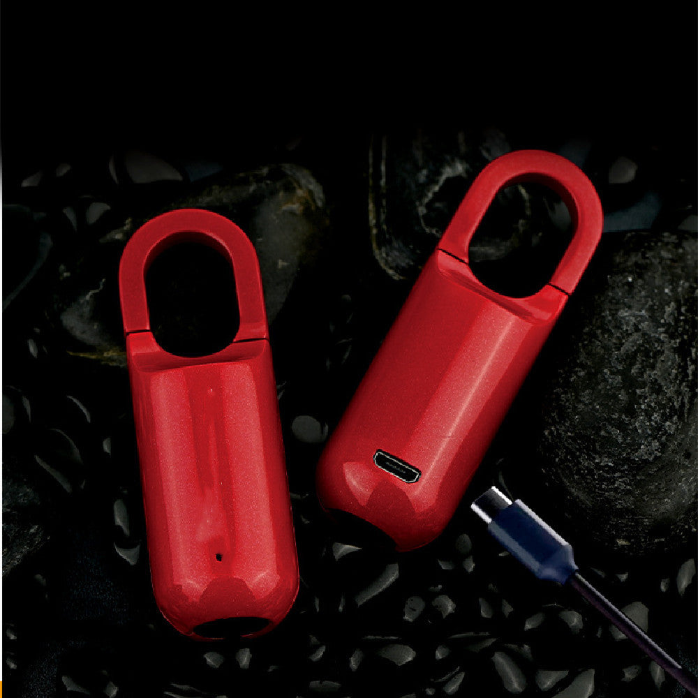 Serrure intelligente à Code d'empreinte digitale, Rechargeable par USB, facile à transporter, pour sac à dos, serrure à empreintes digitales pour salle de sport, casier d'école, porte de maison, bagages de voyage