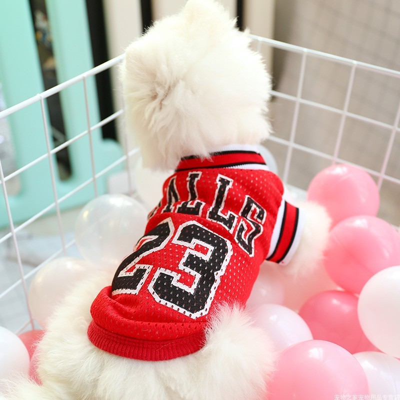 Vêtements d'été pour chien, gilet en peluche respirant