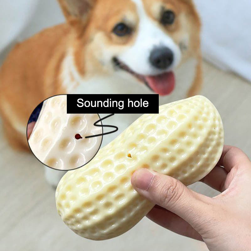 Jouets grinçants amusants pour chiens de compagnie, pour petits chiens moyens, résistant aux morsures, chiot, chat, jouets pour animaux de compagnie, en caoutchouc, cacahuètes, jouet à mâcher pour dents propres