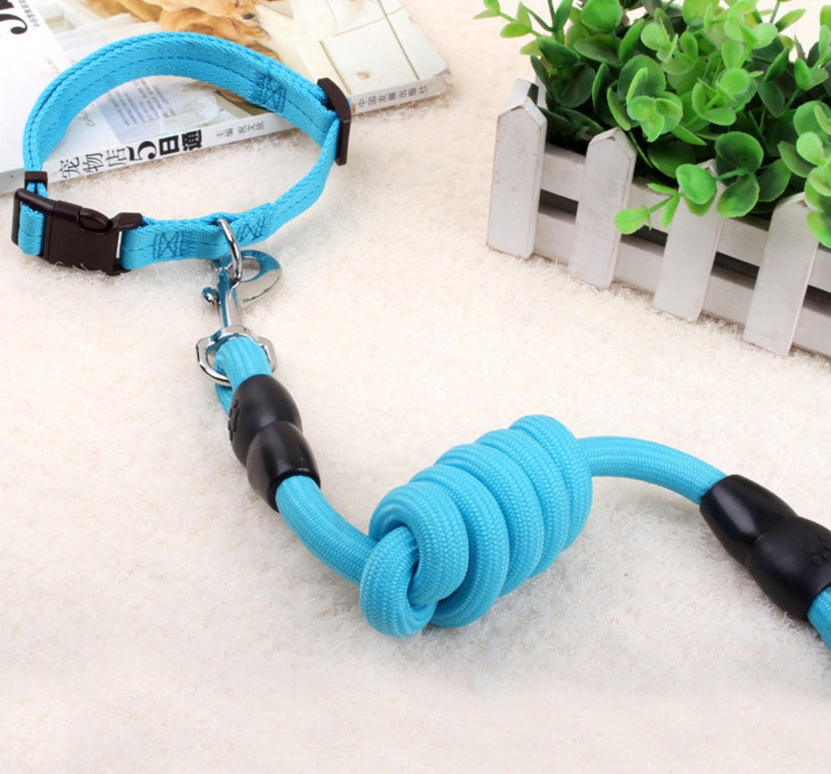 chaîne pour chien, collier pour chien, corde de harnais pour animaux de compagnie