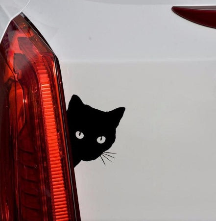 La ventana trasera del comercio exterior se moverá. El limpiaparabrisas trasero del gato de la ventana trasera es adecuado para pegatinas y adhesivos reflectantes para automóviles.