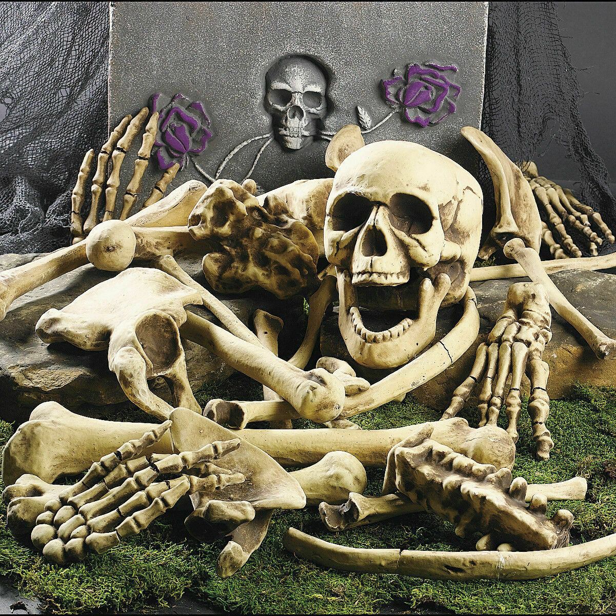 Halloween Skeleton Bones 28pcs Halloween Prop Squelette Crâne Maison Hantée Horreur Accessoire Décorations De Fête Tricky Bones Crâne