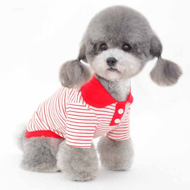 Vêtements pour animaux de compagnie