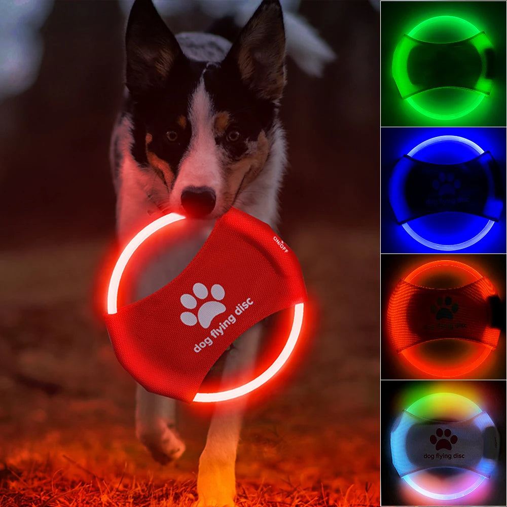 Chien disques volants lumière LED lumineuse entraînement lumineux jouets interactifs jeu disques volants chien jouet accessoires pour chien produits pour animaux de compagnie
