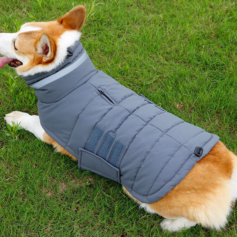 Manteau d'hiver imperméable pour chien, vêtements pour animaux de compagnie de grande taille, gilet chaud et épais pour chien, veste personnalisée du Labrador, nouvelle collection