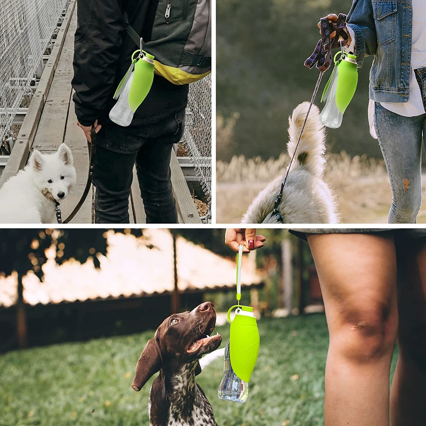 Distributeur d'eau Portable pour animaux de compagnie, mangeoire anti-fuite avec tasse à boire, bol à vaisselle, bouteille d'eau pour chien