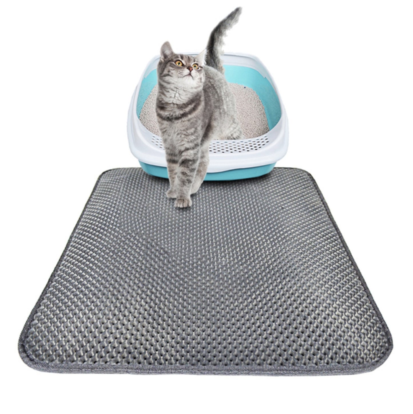 Double couche litière pour chat coussinets pour animaux de compagnie chat litière tapis piégeage animaux litière tapis produit pour animaux de compagnie lit pour chats maison propre tapis