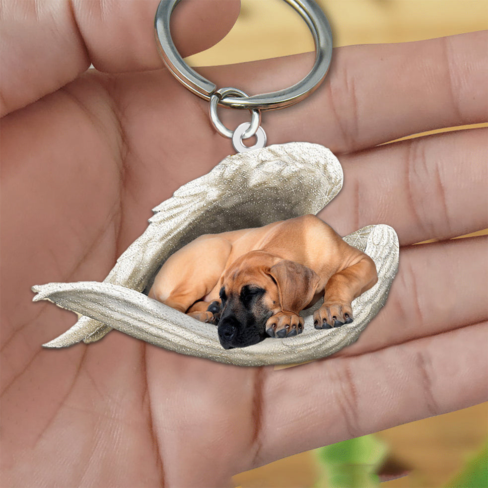 New Unique Dogs And Cats Sleeping Angel Pendant Car Key Ring