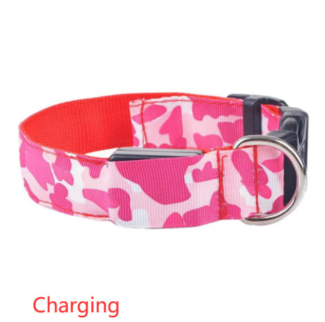 Collier de chien lumineux, fournitures pour animaux de compagnie, Camouflage