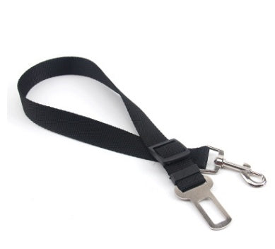 Sangle fixe en polyester pour chien, laisse pour chien, laisse pour chien