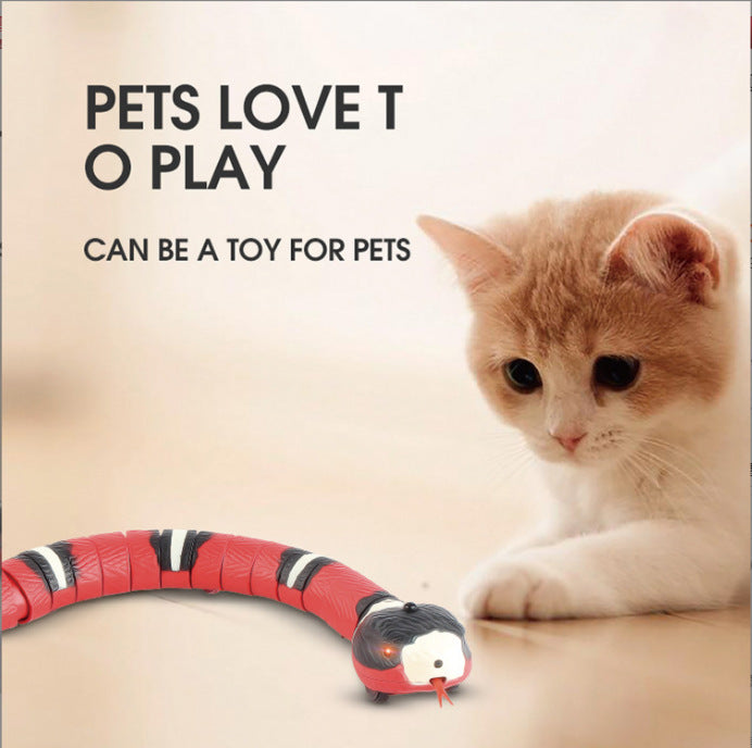 Jouets de chat de serpent de détection intelligente jouets interactifs électriques pour chats accessoires de chat de charge USB pour chiens de compagnie jeu jouet de jeu
