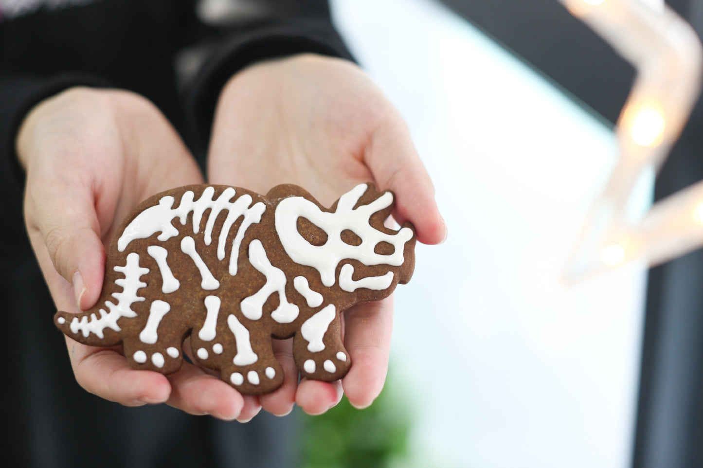 Moule à biscuits dinosaure, gaufrage artisanal du sucre, moule de cuisson de desserts 3D, outil de décoration de Fondant