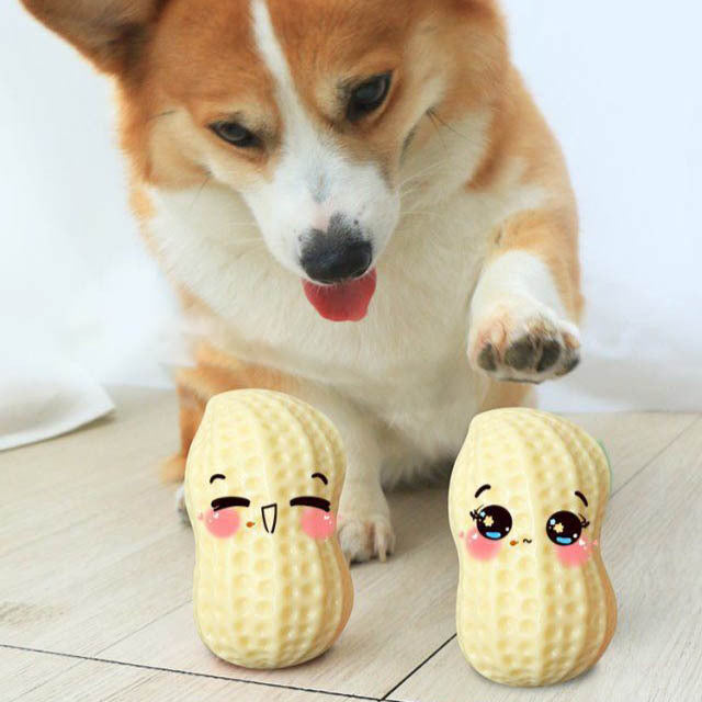 Jouets grinçants amusants pour chiens de compagnie, pour petits chiens moyens, résistant aux morsures, chiot, chat, jouets pour animaux de compagnie, en caoutchouc, cacahuètes, jouet à mâcher pour dents propres