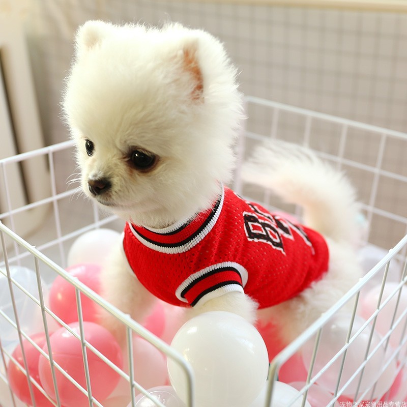 Vêtements d'été pour chien, gilet en peluche respirant