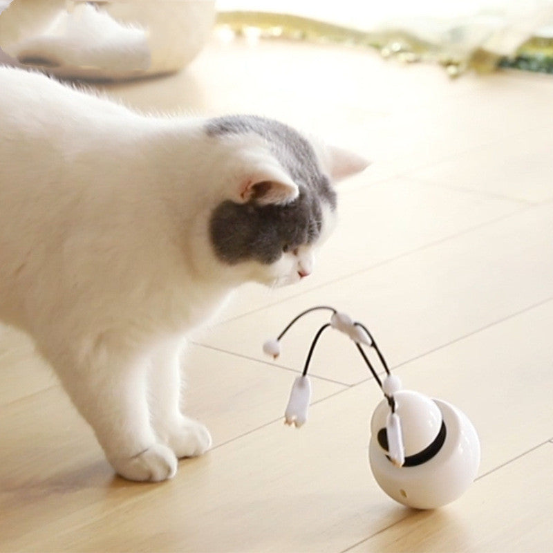 Jouet électrique pour chat, jouet amusant pour chat