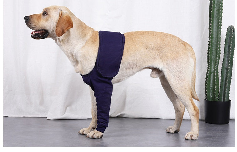Nouveau Manchon Anti-léchage pour la récupération postopératoire des pattes de chien
