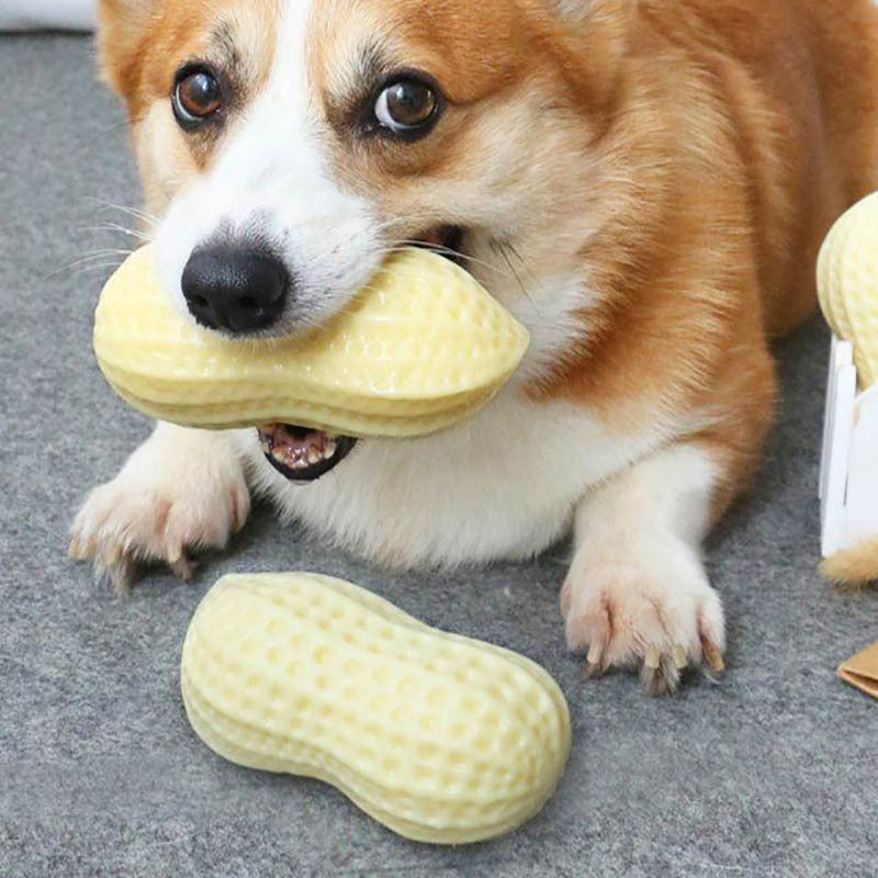 Jouets grinçants amusants pour chiens de compagnie, pour petits chiens moyens, résistant aux morsures, chiot, chat, jouets pour animaux de compagnie, en caoutchouc, cacahuètes, jouet à mâcher pour dents propres