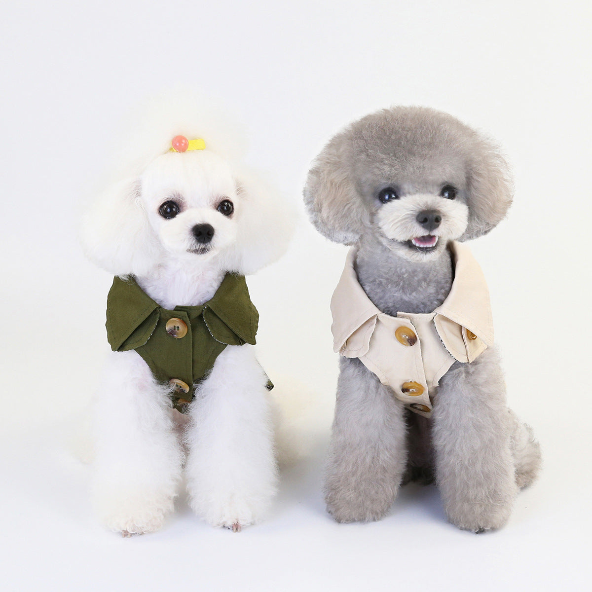 vêtements pour animaux de compagnie
