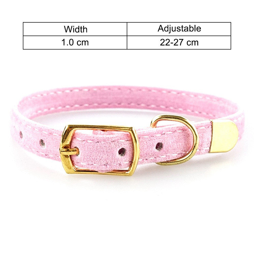 Collier pour chat, fournitures pour animaux de compagnie